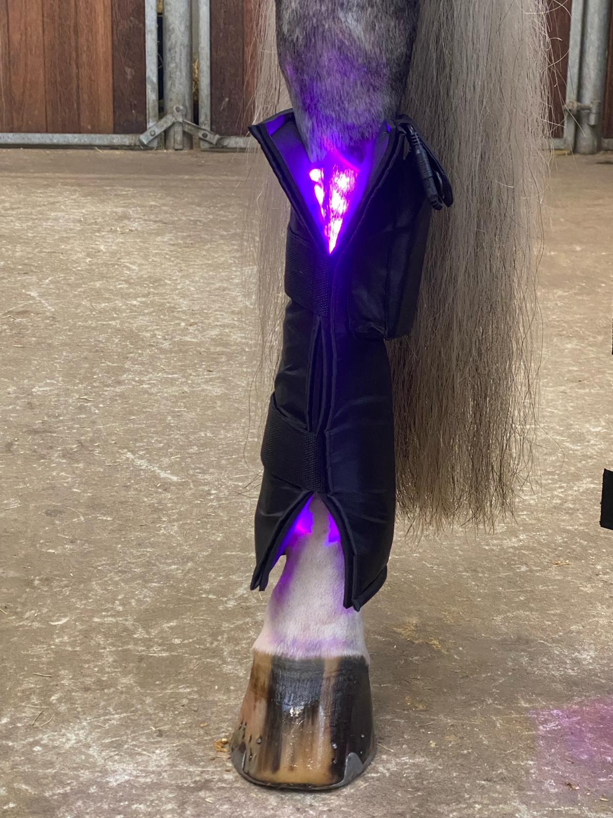 Equine LTS 3.0 – Triple Light Therapy Boot - 1 Piece (Single)