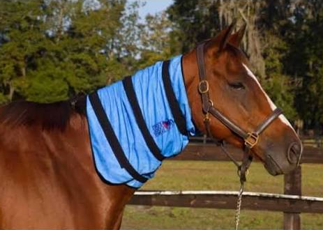 Equine LTS R-Serie Mini Pro Wrap (Red & Near-InfraRed)