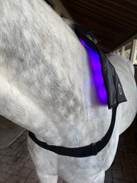 Equine LTS Mini Pro SUPREME - App Controlled Triple Light Therapy Wrap