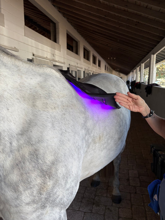 Equine LTS Mini Pro SUPREME - App Controlled Triple Light Therapy Wrap