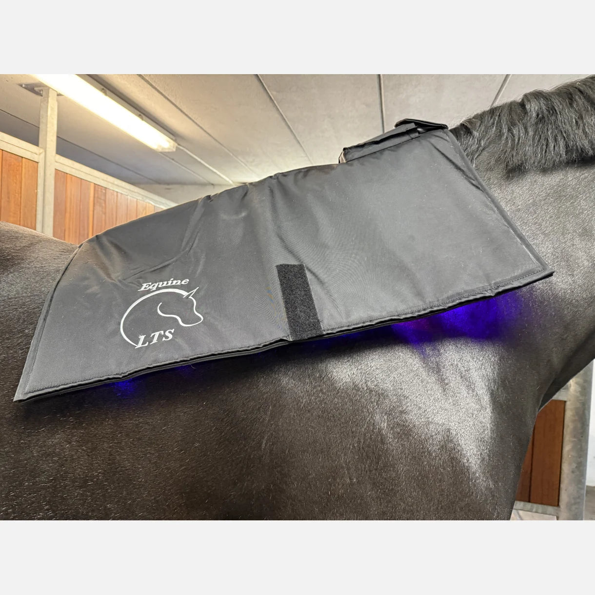 Equine LTS Topline - Triple Light Therapy Back Pad