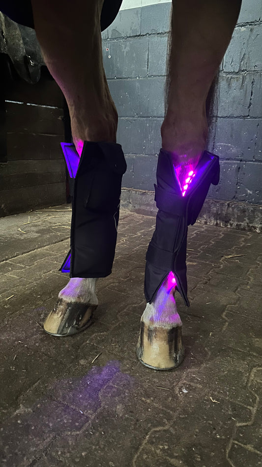 Equine LTS 3.0 – Triple Light Therapy Boot - 1 Piece (Single)