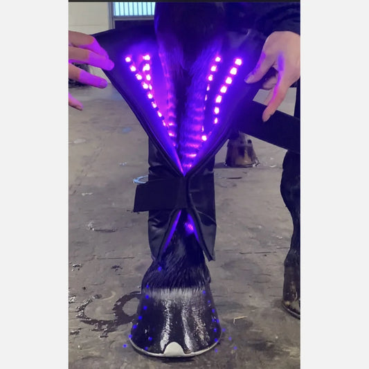 Equine LTS 3.0 – Triple Light Therapy Boot - 1 Piece (Single)
