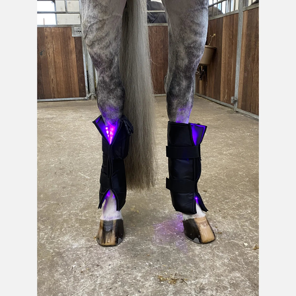 Equine LTS 3.0 – 2 Pieces (Pair)