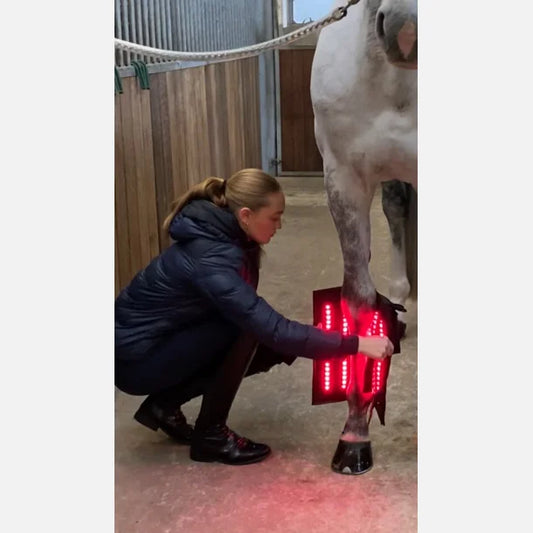 Equine LTS Red & Near-Infrared Light Therapy Boot - 1 Piece (Single)