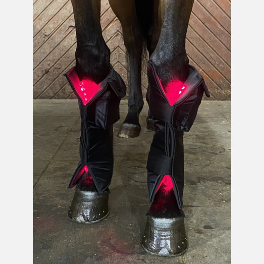 Equine LTS Red & Near-InfraRed Light Therapy boots - 2 Pieces (Pair)