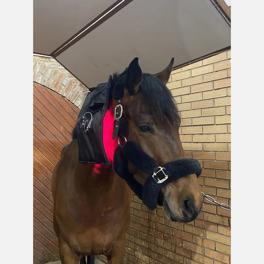 Equine LTS Red & Near-InfraRed Light Therapy boots - 2 Pieces (Pair)