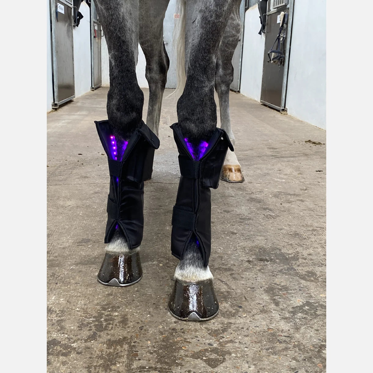 Equine LTS SUPREME - App Controlled Triple Light Therapy Boot - 1 Piece (Single)