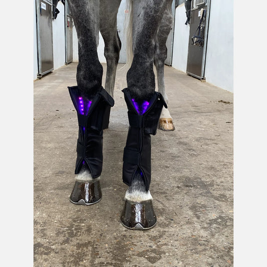 Equine LTS SUPREME - App Controlled Triple Light Therapy Boot - 1 Piece (Single)