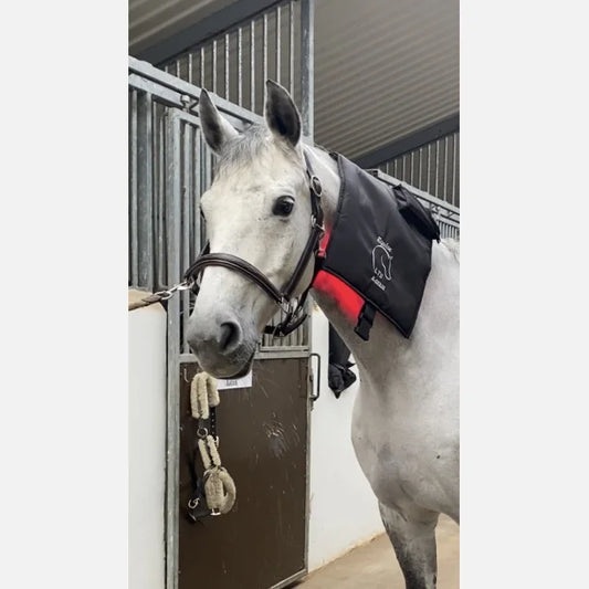 Equine LTS R-Serie Mini Pro Wrap (Red & Near-InfraRed) + 🎁 FREE EquiCoolDown Neck Wrap