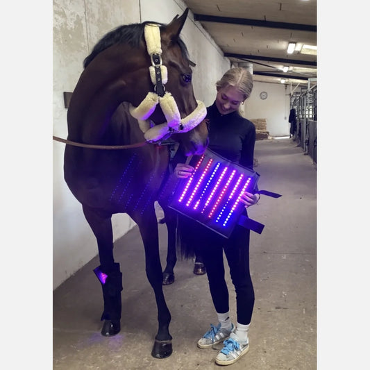 Equine LTS SUPREME - App Controlled Triple Light Therapy Boot - 1 Piece (Single)