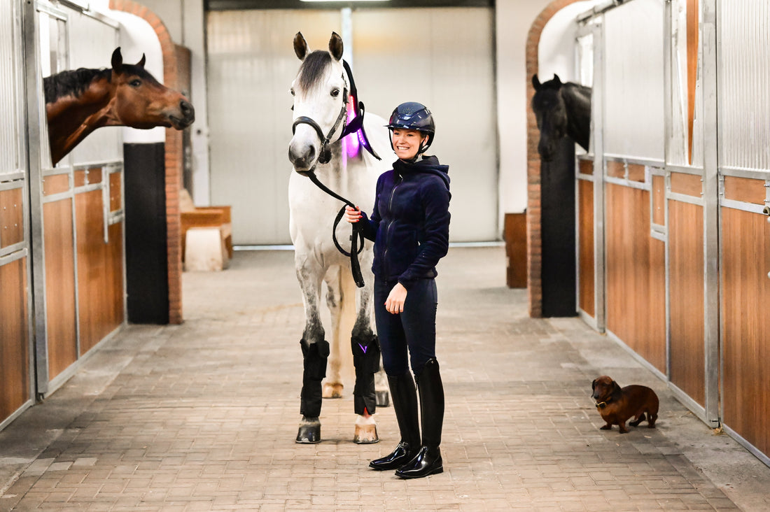 💞 REFER a FRIEND Program - Earn Rewards While Helping Horses Feel Their Best!
