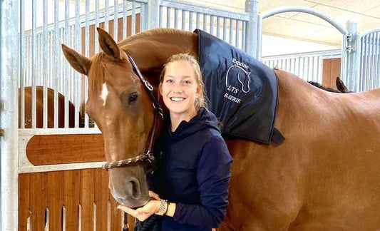 A Horse Owner's Guide to Light Therapy or PhotoBioModulation