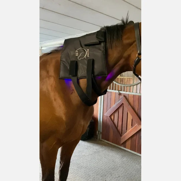 2 Large Adjustable Elastic Belts With Velcro