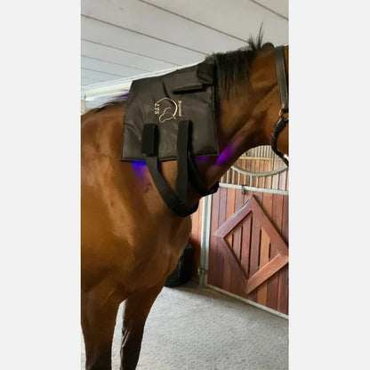 2 Large Adjustable Elastic Belts With Velcro