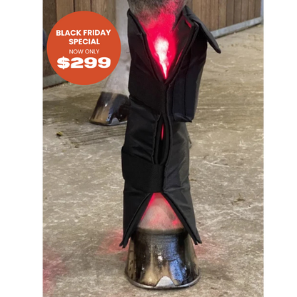 Equine LTS RED Edition - 1 Piece (Single)