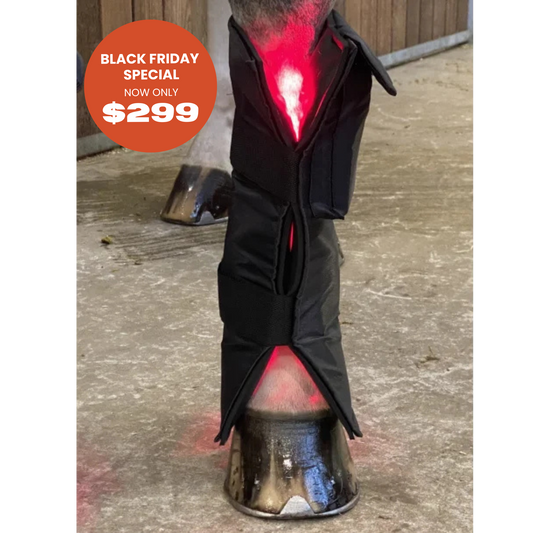 Equine LTS RED Edition - 1 Piece (Single)