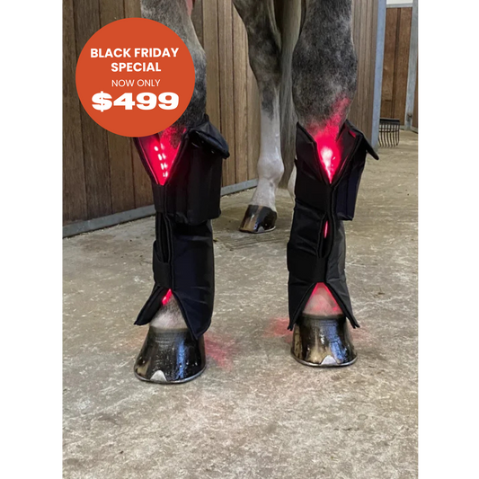 Equine LTS RED Edition - 2 Pieces (Pair)