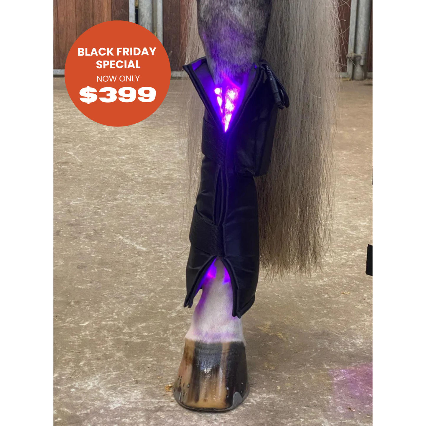 Equine LTS 3.0 – 1 Piece (Single)