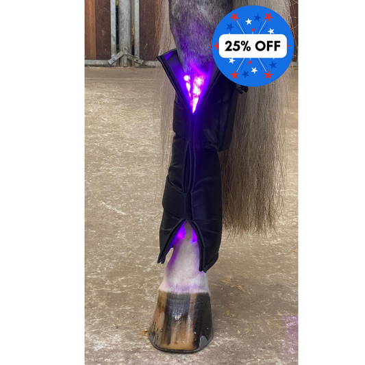 Equine LTS 3.0 – Triple Light Therapy Boot - 1 Piece (Single)