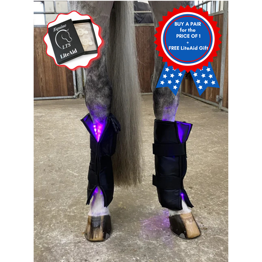 Equine LTS 3.0 – Triple Light Therapy Boot - 2 Pieces (Pair) + FREE LiteAID GIFT!