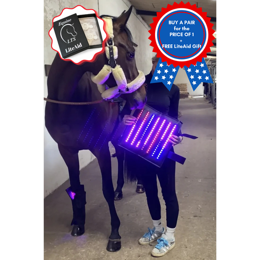 Equine LTS SUPREME - App controlled Triple Light Therapy Boots - 2 Pieces (Pair) + FREE LiteAID GIFT!