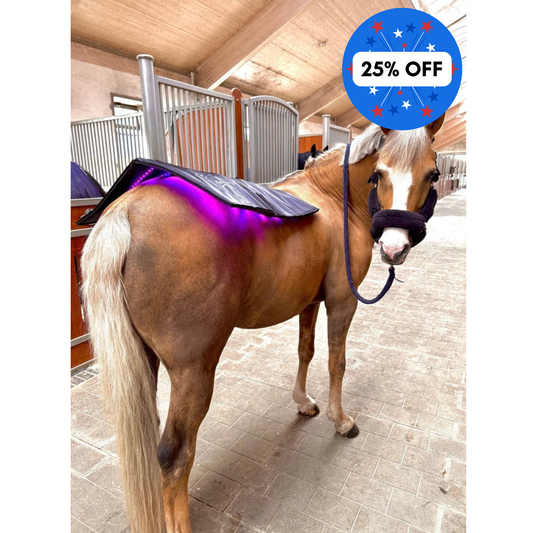 Equine LTS Topline - Triple Light Therapy Back Pad