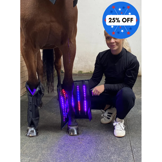 Equine LTS SUPREME - App Controlled Triple Light Therapy Boot - 1 Piece (Single)