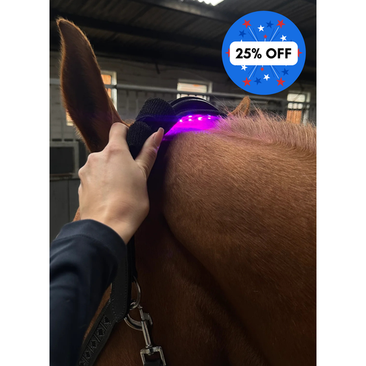 Equine LTS Versatile Triple Light Therapy Poll Cap 2.0 + Elastic belt