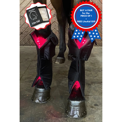 Equine LTS Red & Near-InfraRed Light Therapy boots - 2 Pieces (Pair)