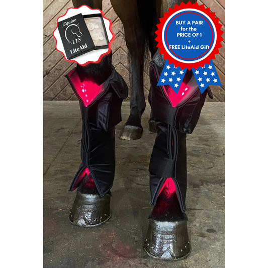Equine LTS Red & Near-InfraRed Light Therapy boots - 2 Pieces (Pair) + FREE LiteAid GIFT!