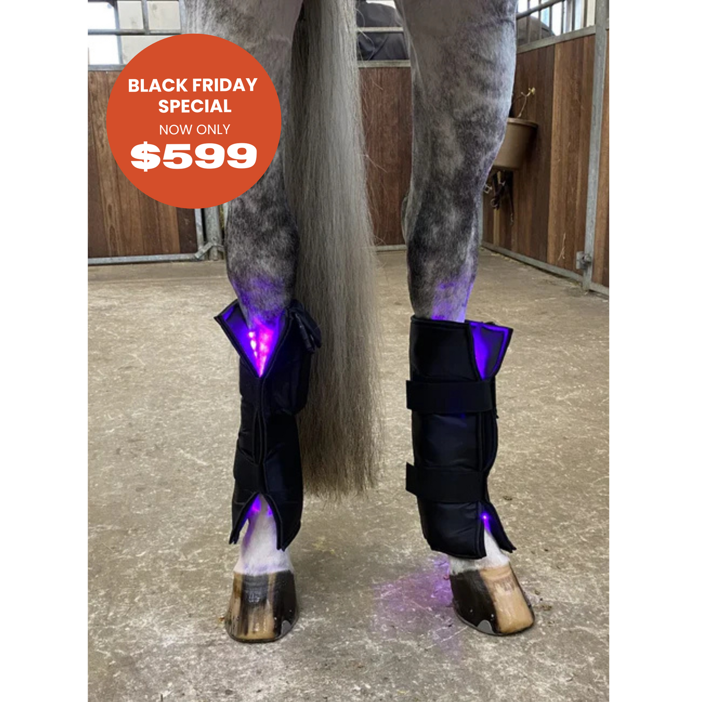 Equine LTS 3.0 – 2 Pieces (Pair)