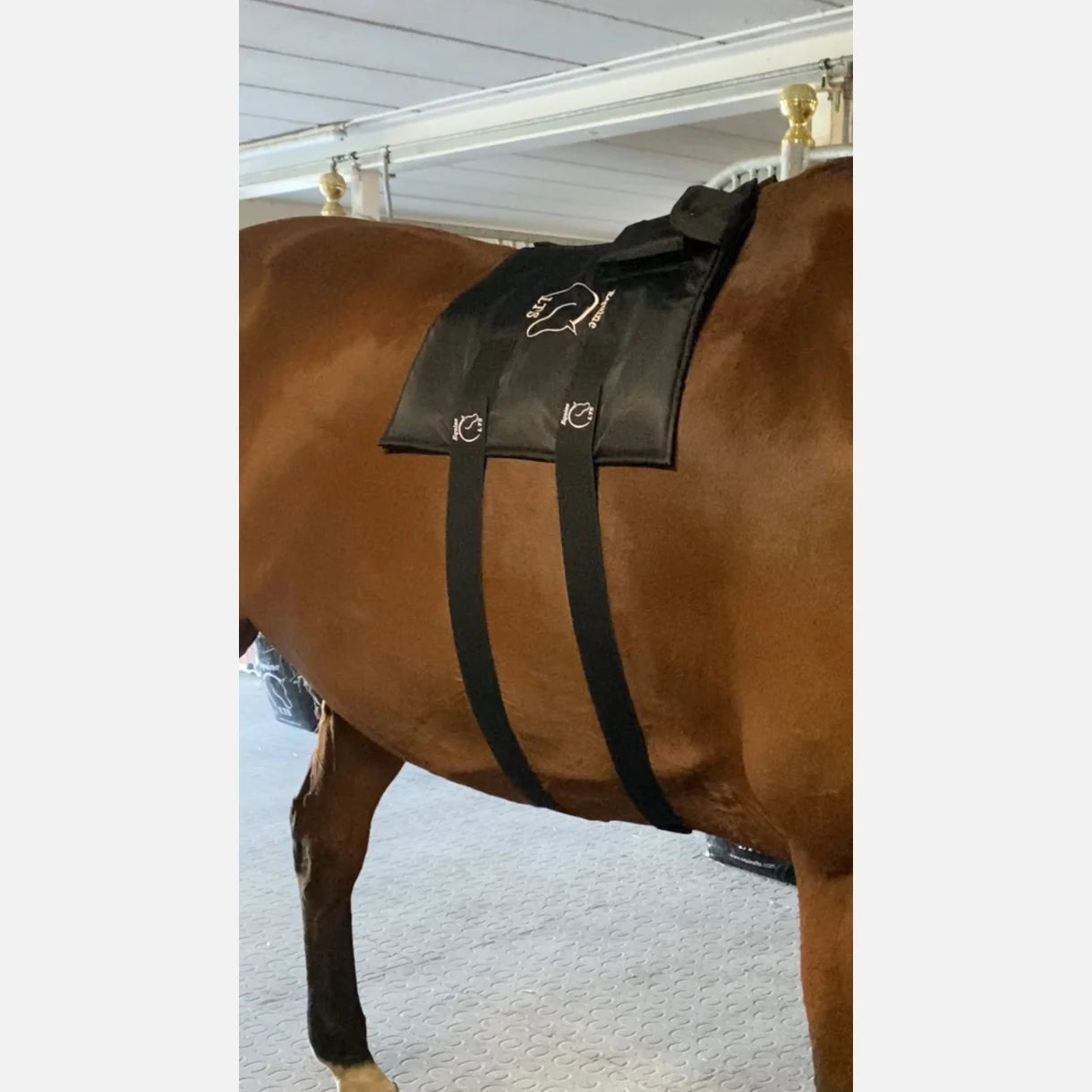 2 Large Adjustable Elastic Belts With Velcro