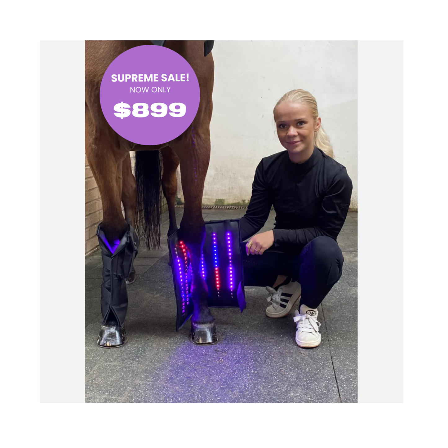 Equine LTS SUPREME - App controlled Triple Light Therapy Boots - 2 Pieces (Pair)