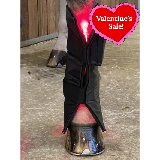 Equine LTS Red & Near-Infrared Light Therapy Boot - 1 Piece (Single)