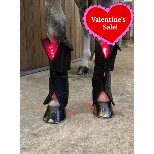 Equine LTS Red & Near-InfraRed Light Therapy boots - 2 Pieces (Pair)
