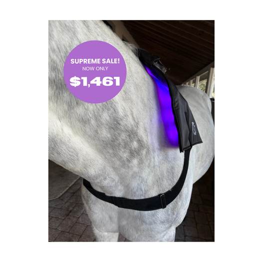 Equine LTS Mini Pro SUPREME - App Controlled Triple Light Therapy Wrap
