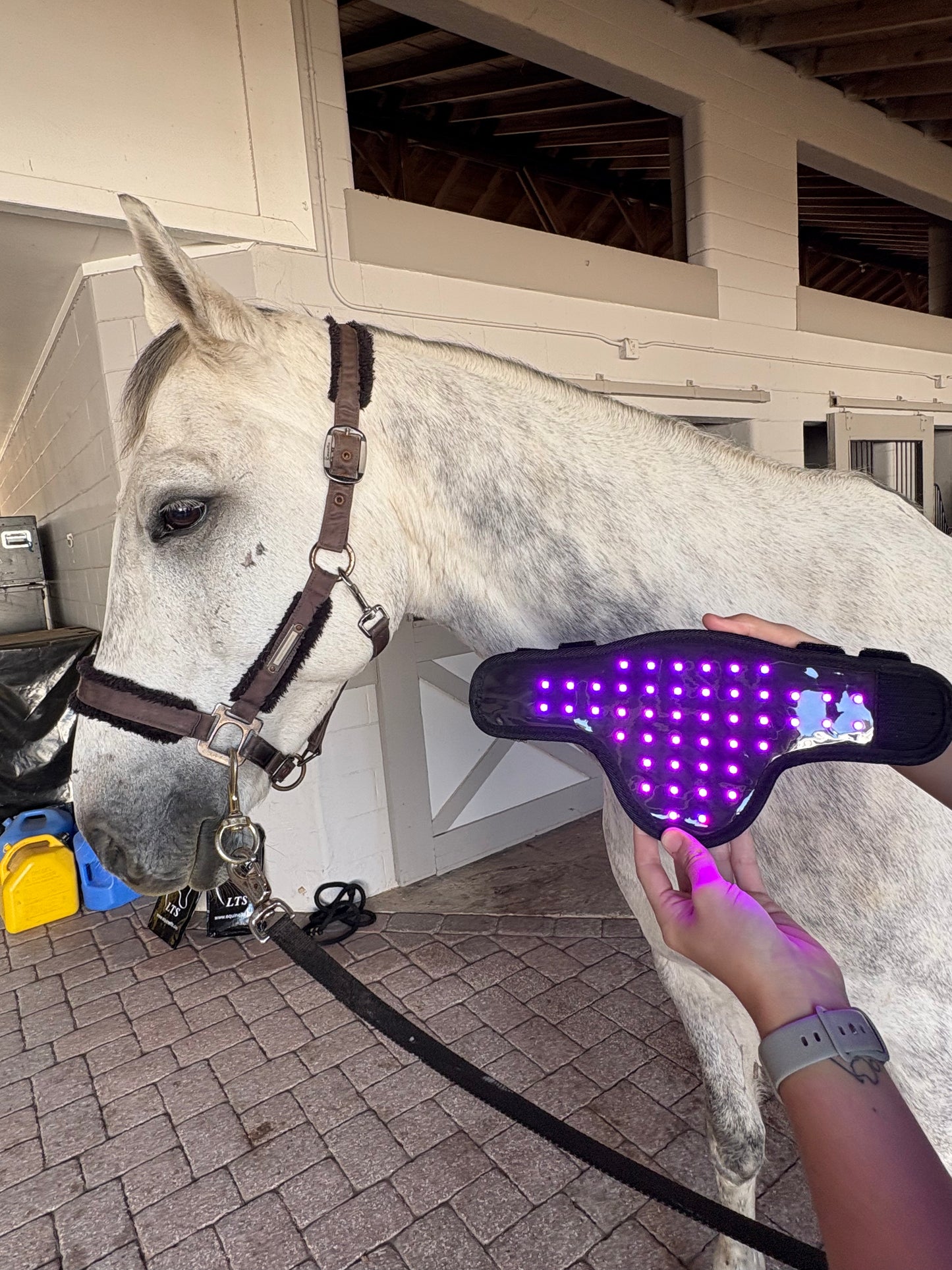 Versatile Poll 2.0 Supreme + Elastic belt