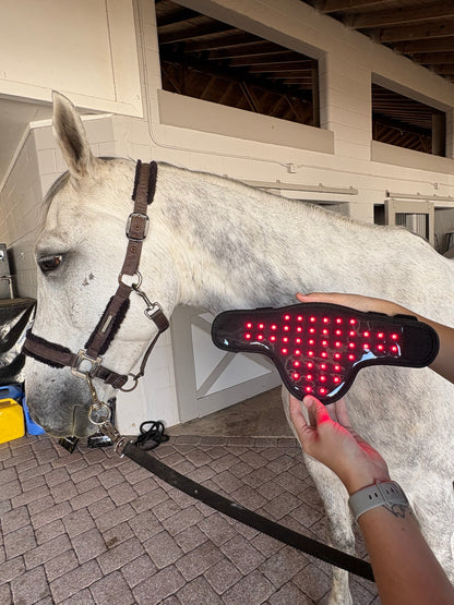 Versatile Poll 2.0 Supreme + Elastic belt