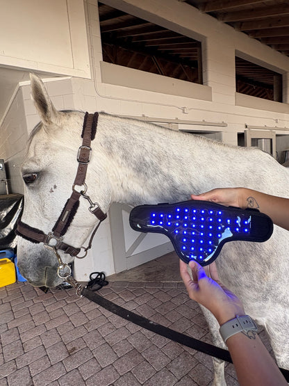 Versatile Poll 2.0 Supreme + Elastic belt