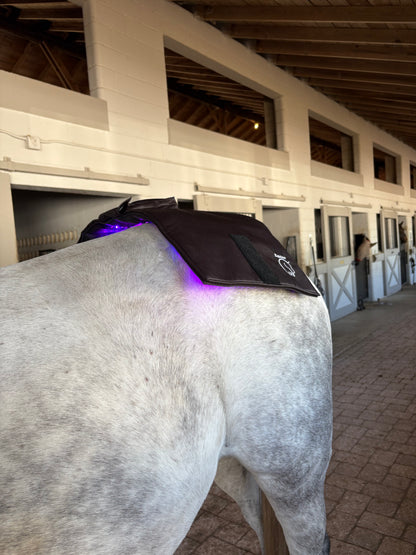 Equine LTS Mini Pro Supreme