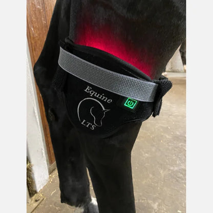 Versatile LTS Poll Cap Red Edition