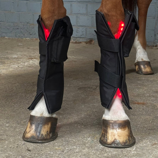 Equine LTS Red & Near-Infrared Light Therapy Boot - 1 Piece (Single)
