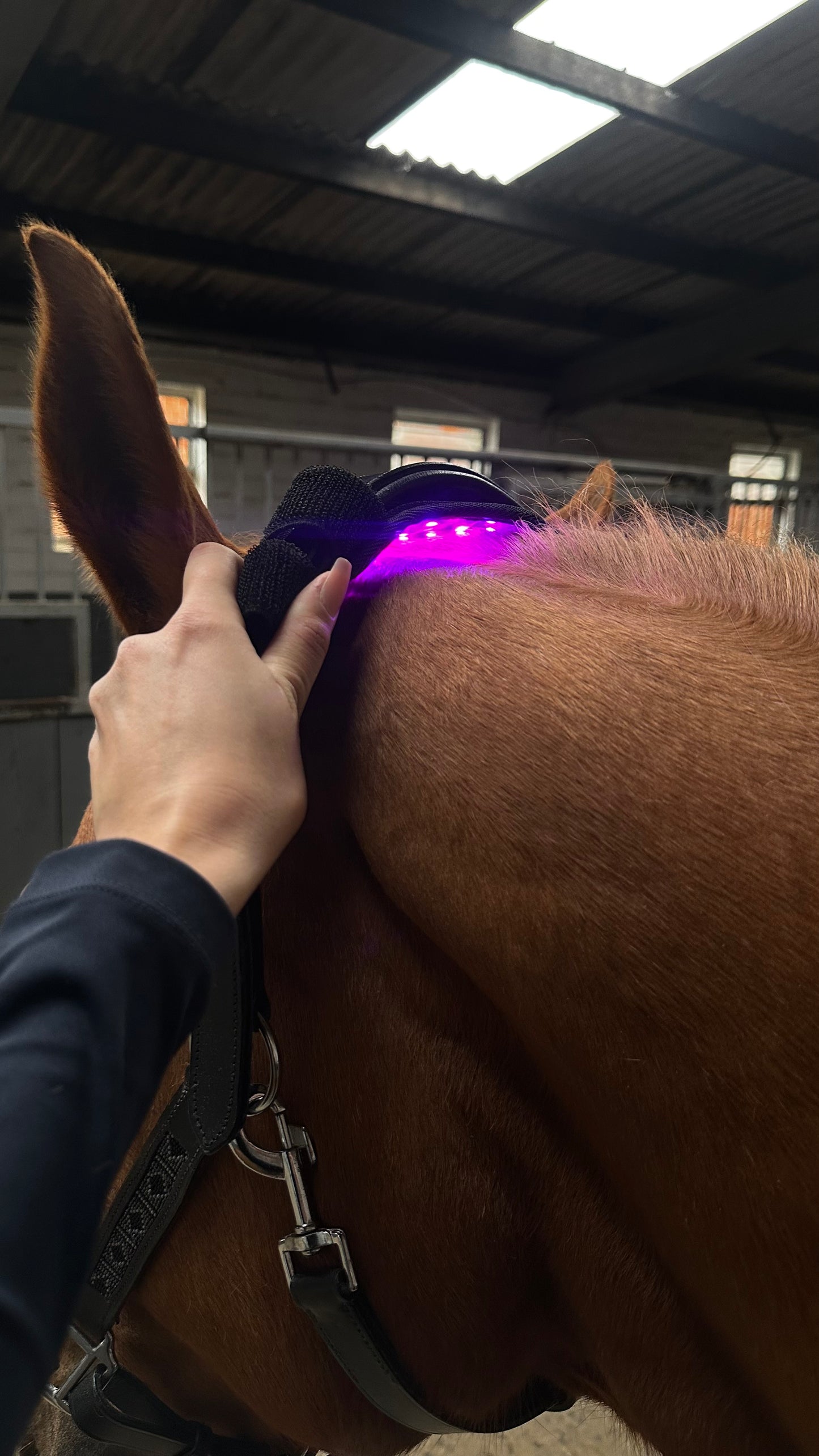 Versatile Poll 2.0 Supreme + Elastic belt