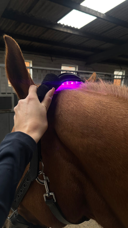 Versatile Poll 2.0 Supreme + Elastic belt