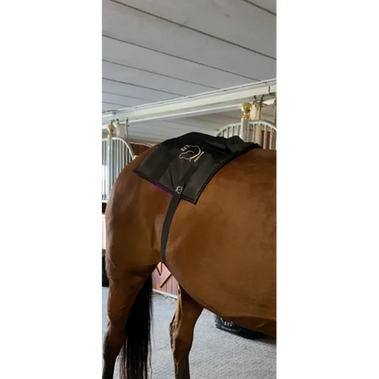 2 Large Adjustable Elastic Belts With Velcro