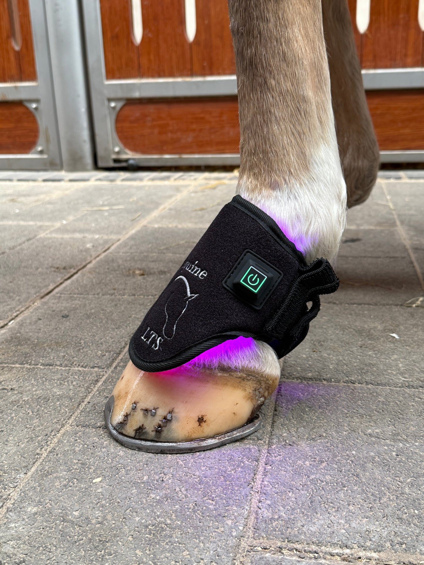 Versatile Poll 2.0 Supreme + Elastic belt