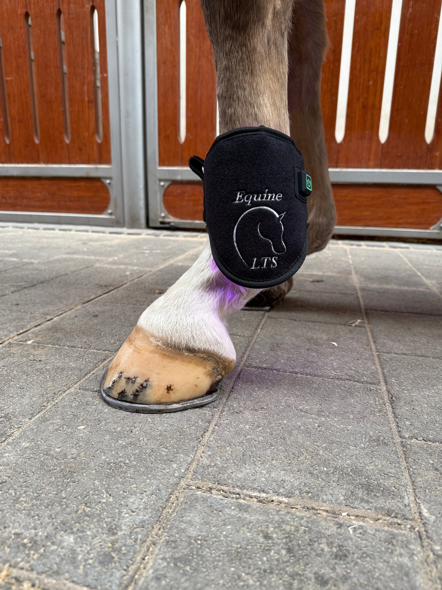 Versatile Poll 2.0 Supreme + Elastic belt