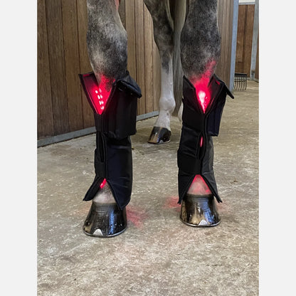 Equine LTS RED Edition - 2 Pieces (Pair)