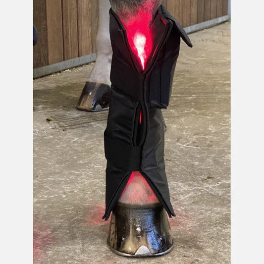 Equine LTS Red & Near-Infrared Light Therapy Boot - 1 Piece (Single)